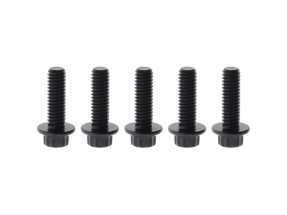 Front Disc Rotor Bolts – Black 12 Point ARP. 5/16in.-18 x 1.0in.. Fits Most HD models 1984up.
