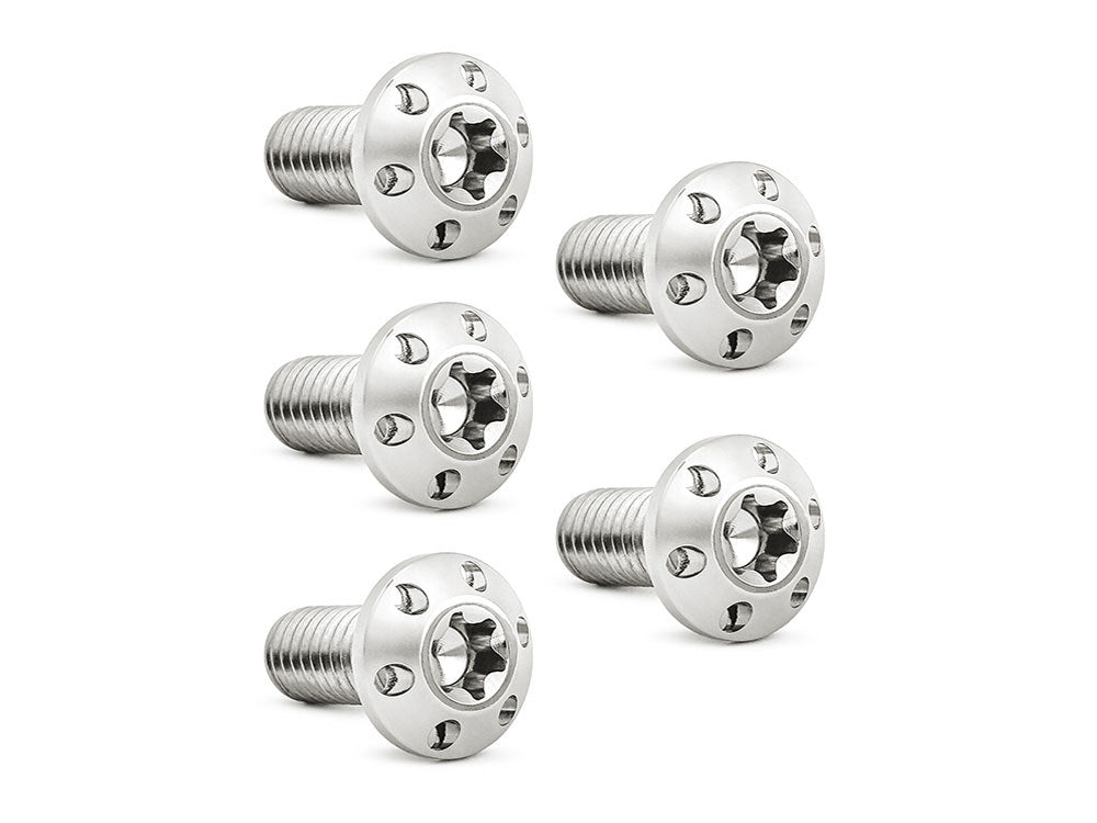 Titanium Rear Disc Rotor Bolts – Polished. Fits H-D Big Twin 1997up & Sportster 1997-2021