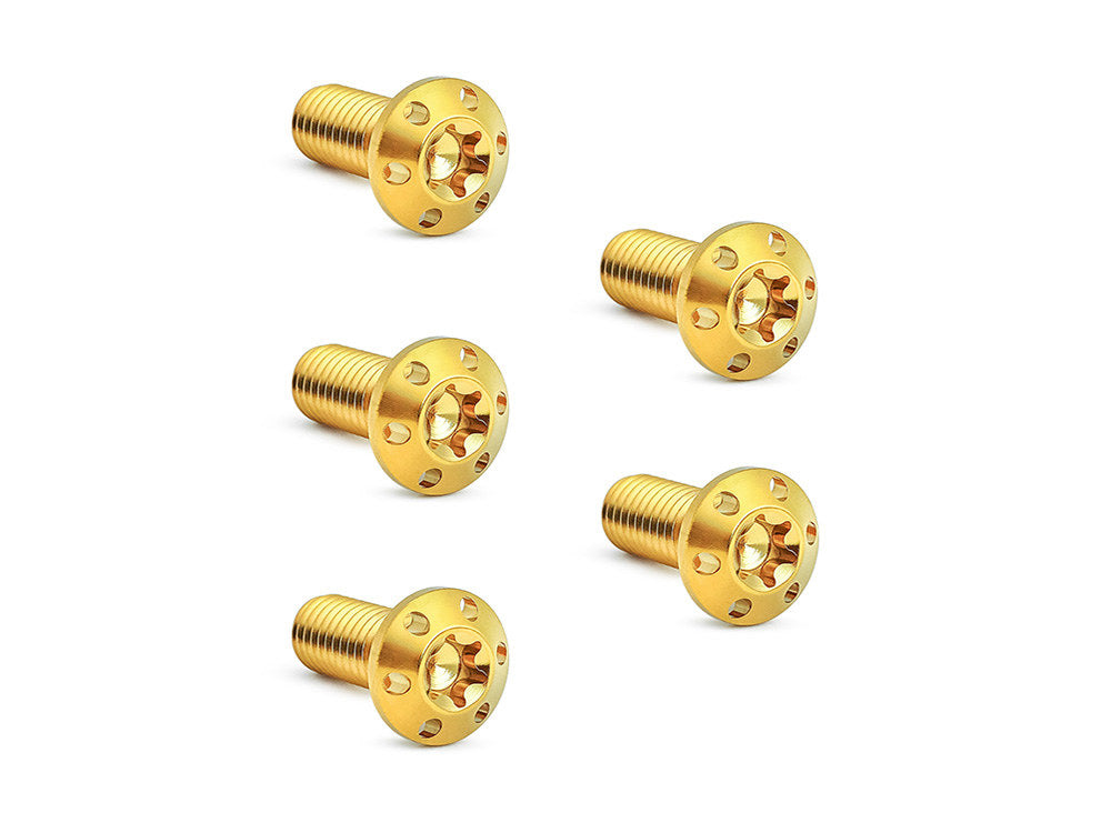 Titanium Front Disc Rotor Bolts – Gold. Fits H-D Big Twin 1984up & Sportster 1984-2021
