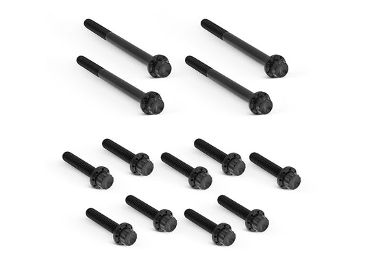 Titanium 12-Point Primary Cover Bolt Kit – Black. Fits Softail 2007-2017 Non-240 Tyre Models & Touring 2017up