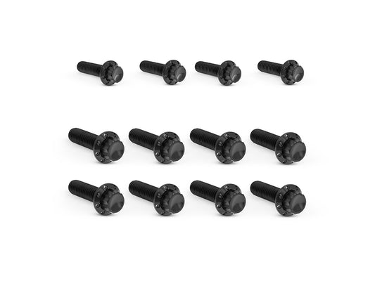 Titanium 12-Point Transmission Side Cover Bolt Kit – Black. Fits Touring 2017up with Cable Clutch & Softail 2018up