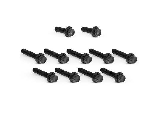 Titanium 12-Point Cam Cover Bolt Kit – Black. Fits CVO Touring 2023up, Street Glide & Road Glide 2024up, Touring 2025up & Softail 2025up