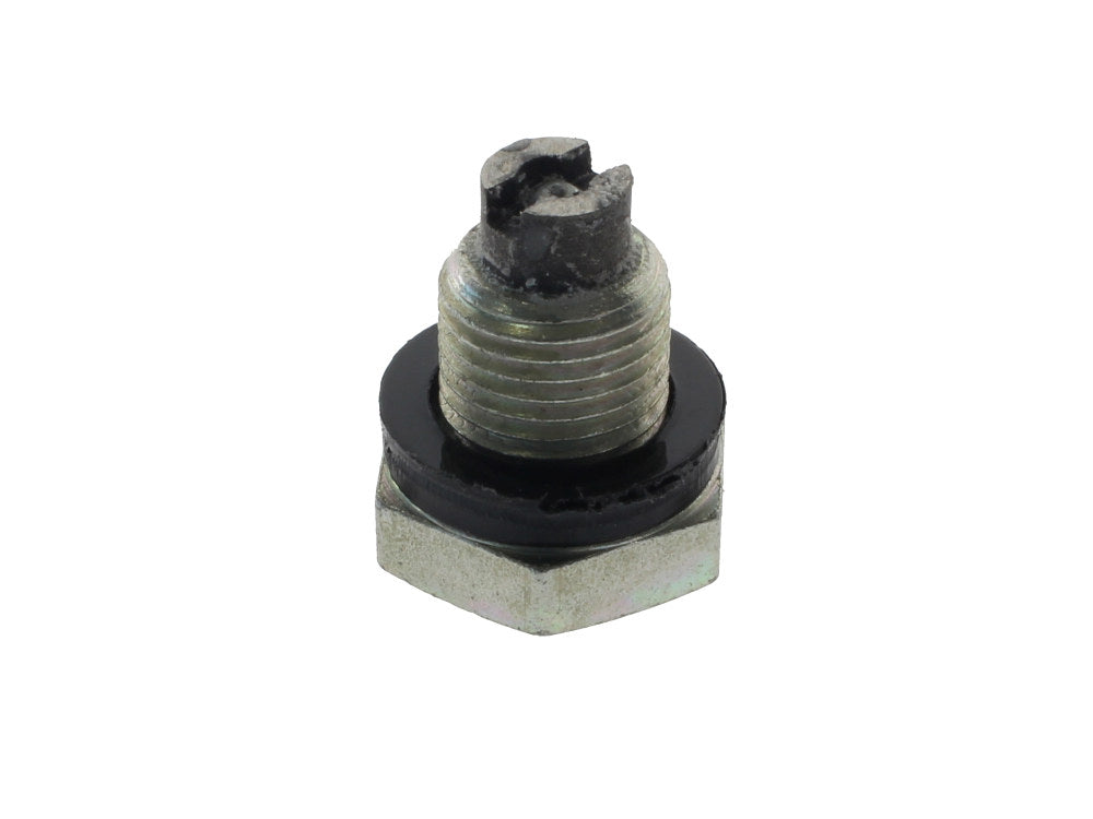 Primary Drain Plug. Fits 4Spd Big Twin 1965-1986