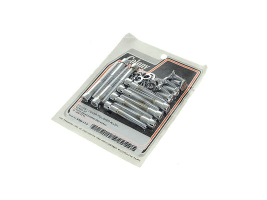 Polished Allen Head Primary Cover Bolts – Chrome. Fits Sportster 1994-2003