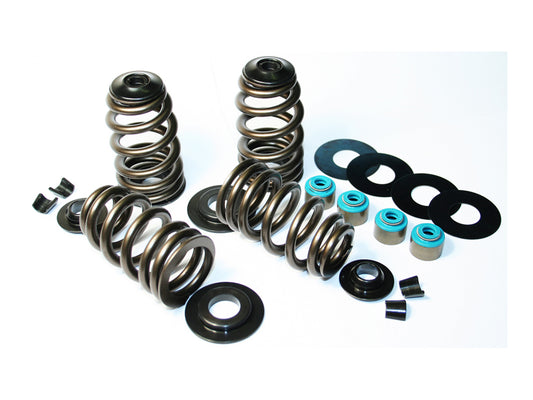 585in. Lift ECONO Performance Beehive Valve Spring Kit. Fits Twin Cam 2005-2017 & Sportster 2004-2021.