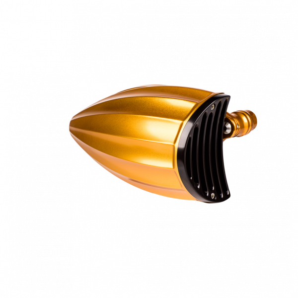 Juicer Air Cleaner Gold Black Cap