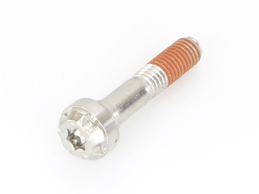 Comp-S End Cap Bolt. 5×25 Torx Hea
